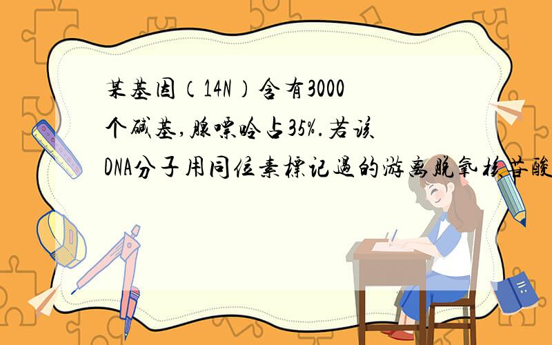 某基因（14N）含有3000个碱基,腺嘌呤占35%.若该DNA分子用同位素标记过的游离脱氧核苷酸为原料复制3次,某基因（14N）含有3000个碱基,腺嘌呤占35%.若该DNA分子用15N同位素标记过的游离脱氧核苷