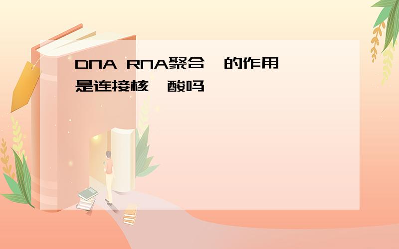 DNA RNA聚合酶的作用 是连接核苷酸吗