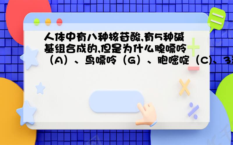 人体中有八种核苷酸,有5种碱基组合成的,但是为什么腺嘌呤（A）、鸟嘌呤（G）、胞嘧啶（C)、3种碱基可以组成6种核苷酸,而DNA和RNA特有的碱基可以组成两种