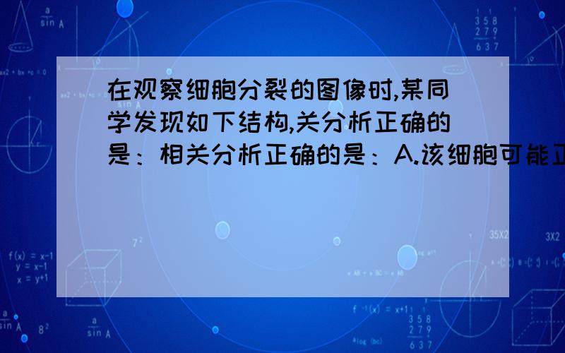 在观察细胞分裂的图像时,某同学发现如下结构,关分析正确的是：相关分析正确的是：A.该细胞可能正在进行有丝分裂或减数分裂B.该细胞中一定发生了基因突变C.该细胞如继续分裂可产生正