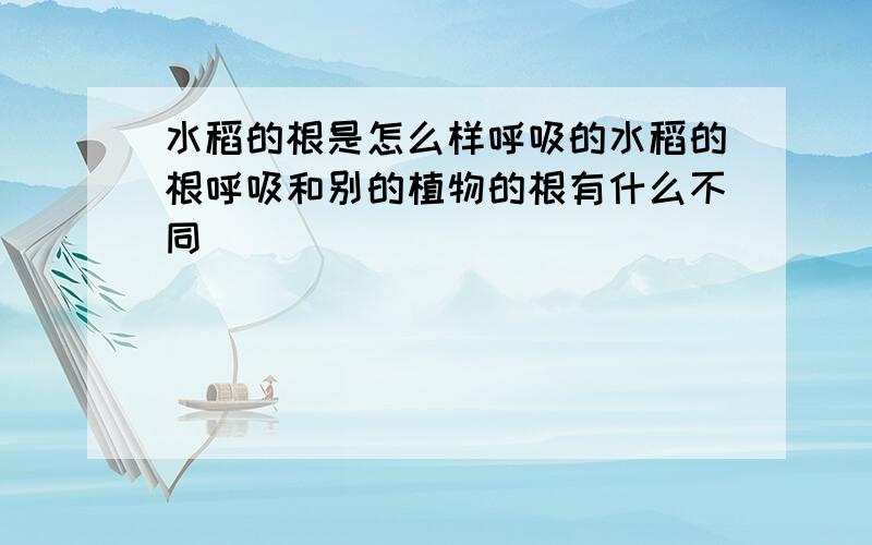 水稻的根是怎么样呼吸的水稻的根呼吸和别的植物的根有什么不同