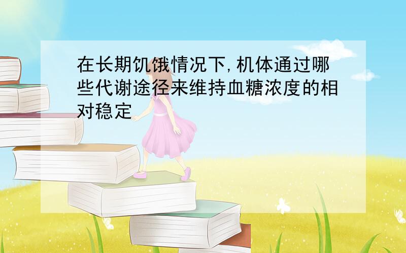 在长期饥饿情况下,机体通过哪些代谢途径来维持血糖浓度的相对稳定