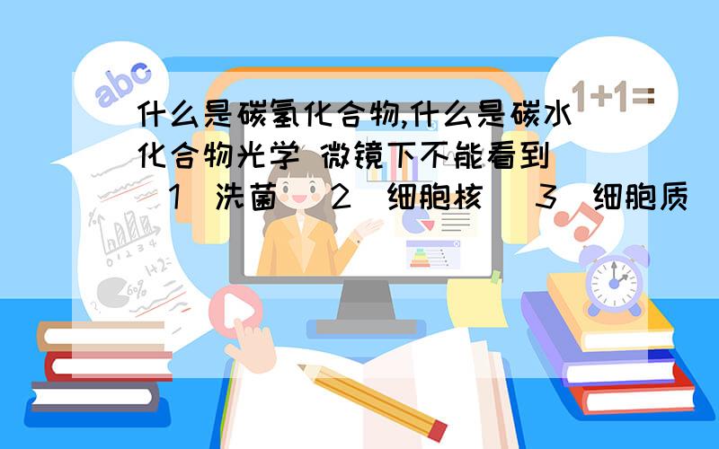 什么是碳氢化合物,什么是碳水化合物光学 微镜下不能看到 [1]洗菌 [2]细胞核 [3]细胞质 [4]核膜