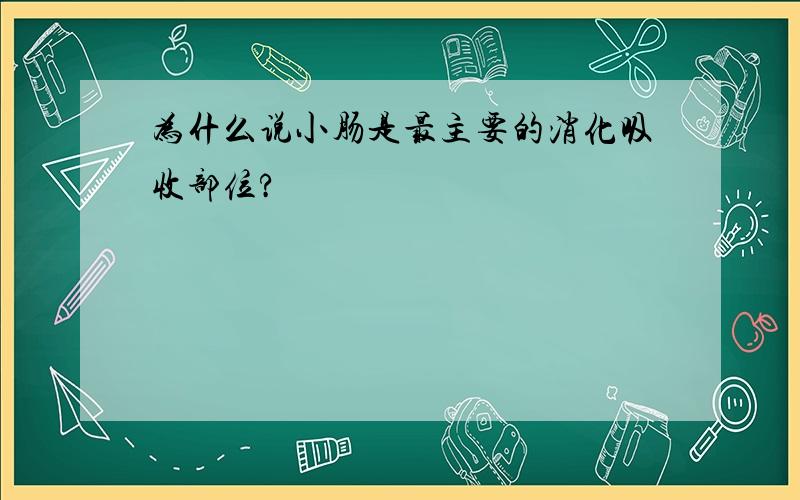 为什么说小肠是最主要的消化吸收部位?