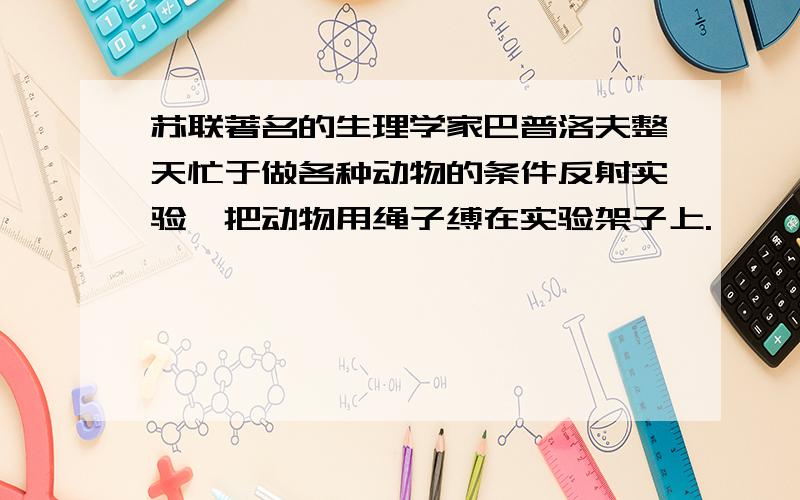 苏联著名的生理学家巴普洛夫整天忙于做各种动物的条件反射实验,把动物用绳子缚在实验架子上.