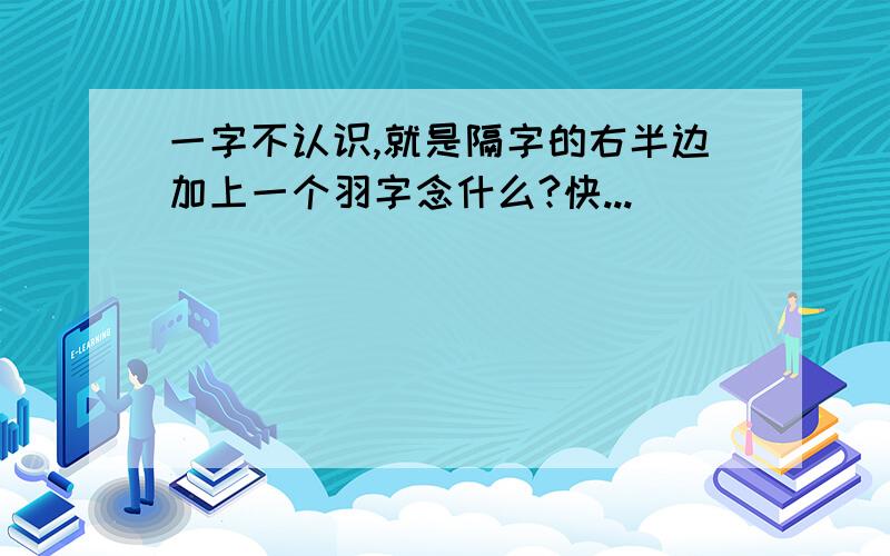 一字不认识,就是隔字的右半边加上一个羽字念什么?快...