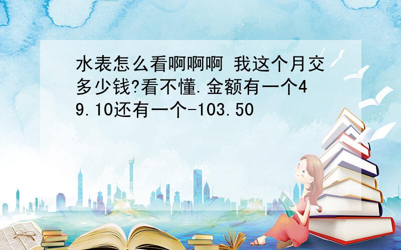 水表怎么看啊啊啊 我这个月交多少钱?看不懂.金额有一个49.10还有一个-103.50