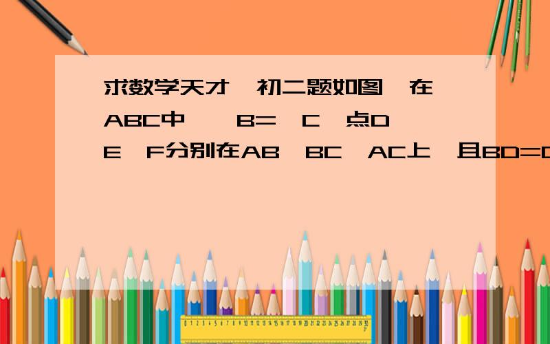 求数学天才,初二题如图,在△ABC中,∠B=∠C,点D,E,F分别在AB,BC,AC上,且BD=CE,∠DEF=∠B （1）求证：△EDB≌△FEC （2） 若点D,E,F分别在AB,BC,CA边或它们某一方的延长线上（但至少有一个点在延长线上