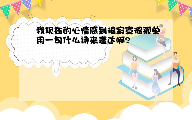 我现在的心情感到很寂寞很孤单用一句什么诗来表达啊?