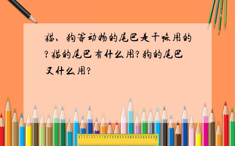 猫、狗等动物的尾巴是干嘛用的?猫的尾巴有什么用?狗的尾巴又什么用?