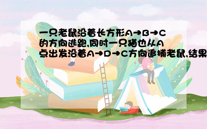 一只老鼠沿着长方形A→B→C的方向逃跑,同时一只猫也从A点出发沿着A→D→C方向追捕老鼠,结果在BC边上的E点才抓住老鼠,一只老鼠的速度是猫的11/14,而且CE长6米,求长方形周长.