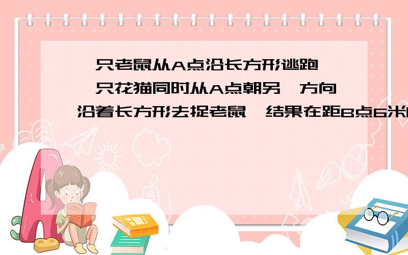 一只老鼠从A点沿长方形逃跑,一只花猫同时从A点朝另一方向沿着长方形去捉老鼠,结果在距B点6米的C点处抓住了老鼠.已知,老鼠的速度是花猫速度的10/13,则长方形的周长是__________米.