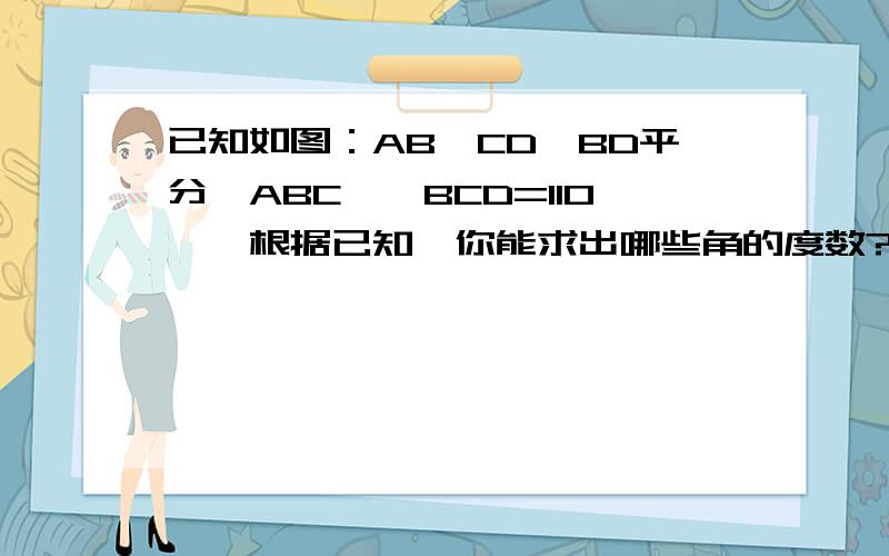 已知如图：AB∥CD,BD平分∠ABC,∠BCD=110°,根据已知,你能求出哪些角的度数?(请一一写出它们的度数)