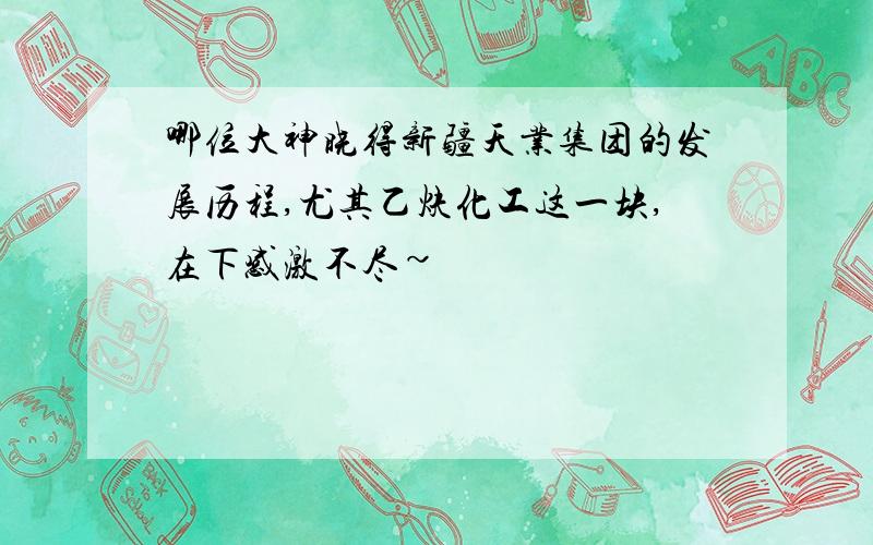 哪位大神晓得新疆天业集团的发展历程,尤其乙炔化工这一块,在下感激不尽~