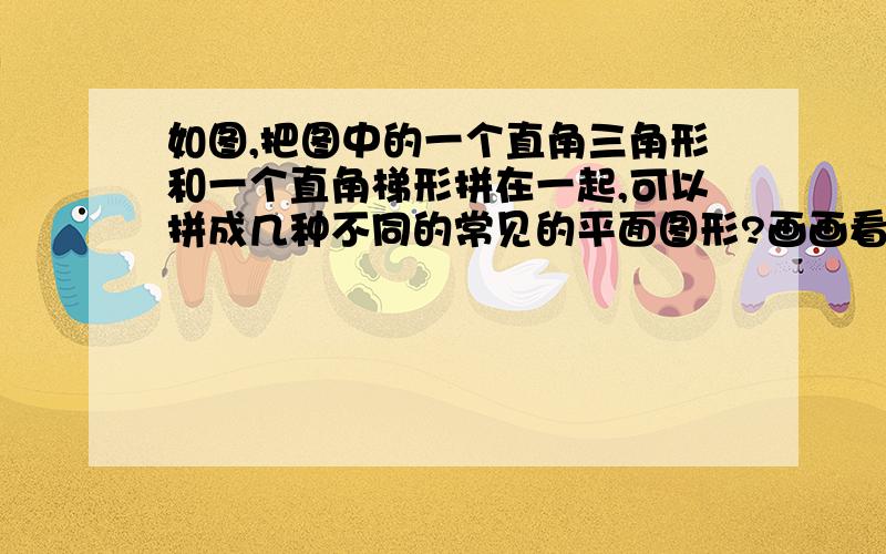 如图,把图中的一个直角三角形和一个直角梯形拼在一起,可以拼成几种不同的常见的平面图形?画画看.