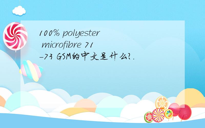 100% polyester microfibre 71-73 GSM的中文是什么?.