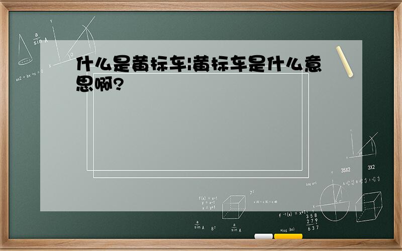 什么是黄标车|黄标车是什么意思啊?