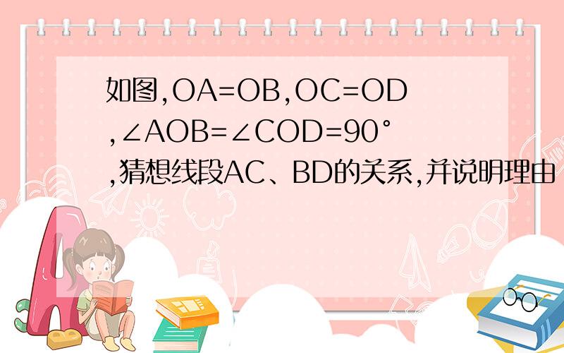 如图,OA=OB,OC=OD,∠AOB=∠COD=90°,猜想线段AC、BD的关系,并说明理由