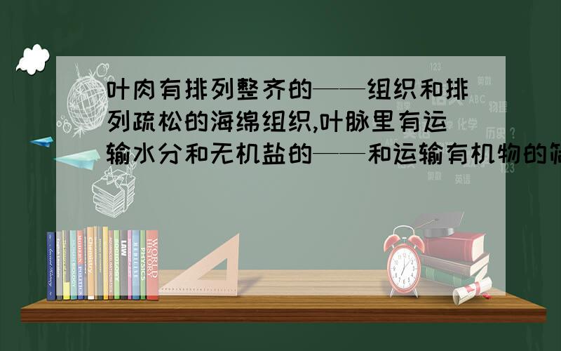 叶肉有排列整齐的——组织和排列疏松的海绵组织,叶脉里有运输水分和无机盐的——和运输有机物的筛管.