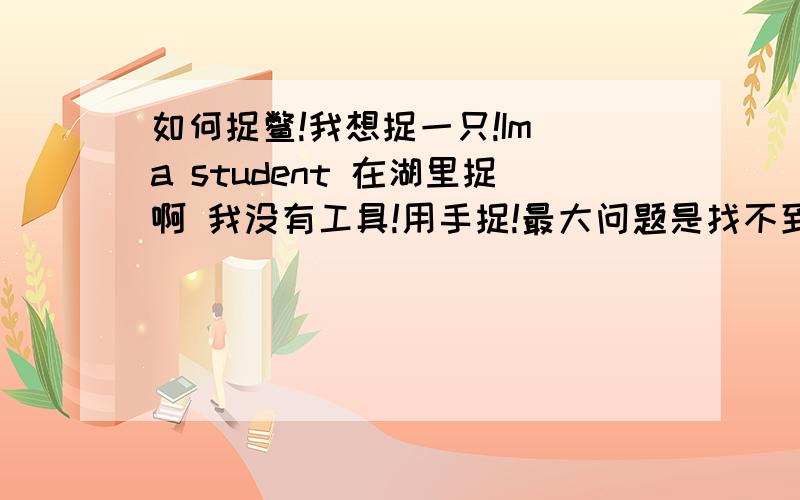 如何捉鳖!我想捉一只!Im a student 在湖里捉啊 我没有工具!用手捉!最大问题是找不到!——!－＿－!