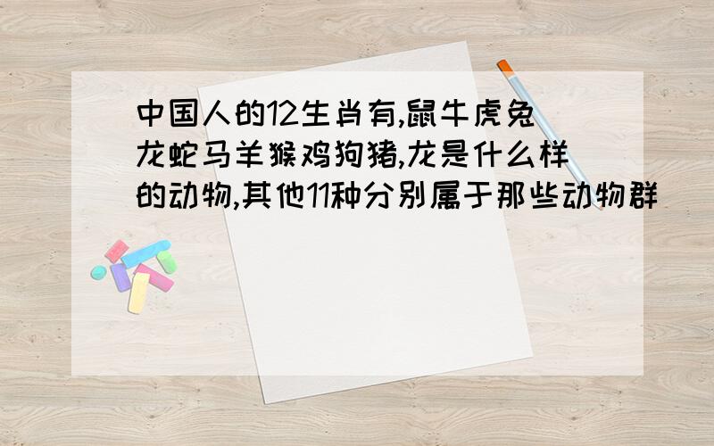 中国人的12生肖有,鼠牛虎兔龙蛇马羊猴鸡狗猪,龙是什么样的动物,其他11种分别属于那些动物群