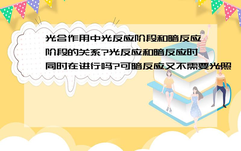 光合作用中光反应阶段和暗反应阶段的关系?光反应和暗反应时同时在进行吗?可暗反应又不需要光照,有了光照怎么进行反应?但没有光反应暗反应又不能进行,到底是怎么样反应的呢?麻烦讲解