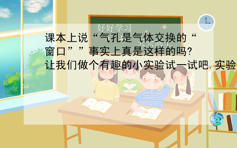 课本上说“气孔是气体交换的“窗口””事实上真是这样的吗?让我们做个有趣的小实验试一试吧.实验如下：采摘完整的空心菜叶片,放在通风处一段时间,实验时将空心菜浸在水中,然后取一