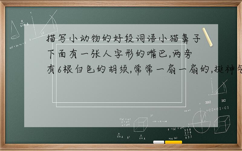 描写小动物的好段词语小猫鼻子下面有一张人字形的嘴巴,两旁有6根白色的胡须,常常一扇一扇的,挺神气.猫的胡子非常硬,像钢针一样,能量出洞口的尺寸.