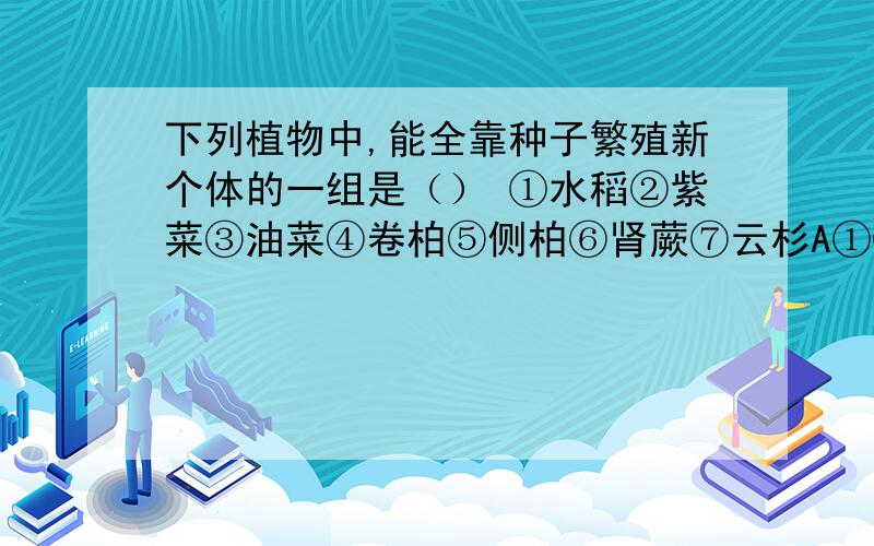 下列植物中,能全靠种子繁殖新个体的一组是（） ①水稻②紫菜③油菜④卷柏⑤侧柏⑥肾蕨⑦云杉A①③④⑥B②④⑤⑦C①③④⑤D①②④⑦