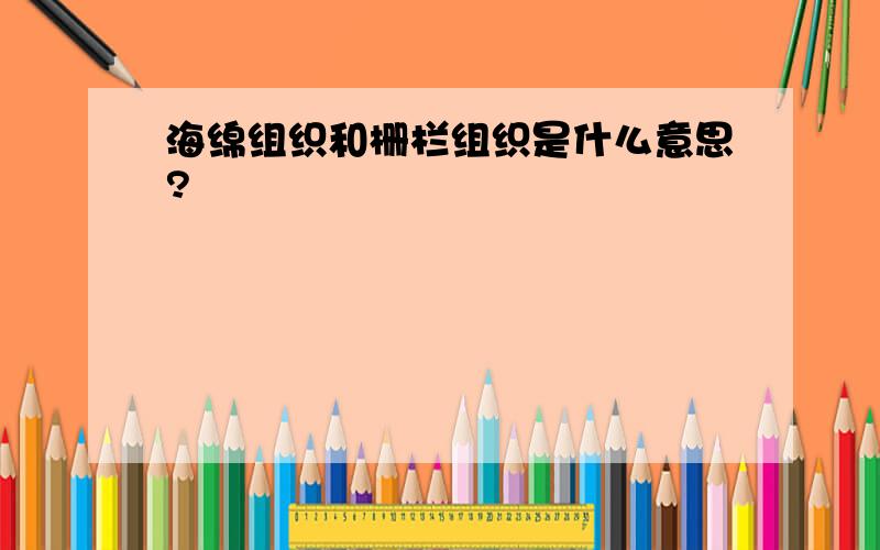 海绵组织和栅栏组织是什么意思?