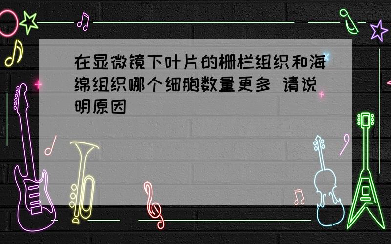 在显微镜下叶片的栅栏组织和海绵组织哪个细胞数量更多 请说明原因