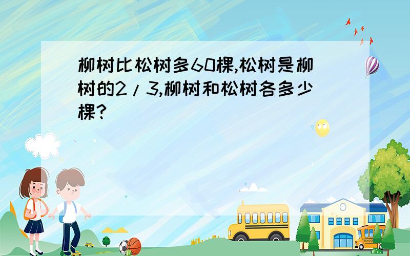 柳树比松树多60棵,松树是柳树的2/3,柳树和松树各多少棵?