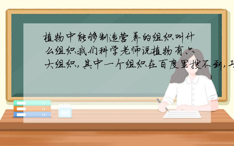 植物中能够制造营养的组织叫什么组织我们科学老师说植物有六大组织,其中一个组织在百度里搜不到,功能是制造营养【注意不是营养组织!】