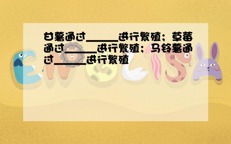 甘薯通过＿＿＿进行繁殖；草莓通过＿＿＿进行繁殖；马铃薯通过＿＿＿进行繁殖