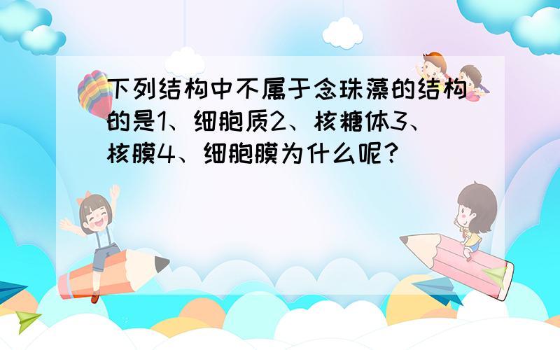 下列结构中不属于念珠藻的结构的是1、细胞质2、核糖体3、核膜4、细胞膜为什么呢？