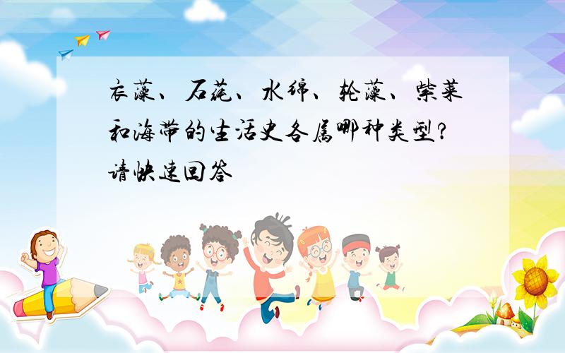 衣藻、石莼、水绵、轮藻、紫菜和海带的生活史各属哪种类型?请快速回答