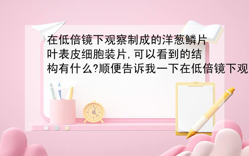 在低倍镜下观察制成的洋葱鳞片叶表皮细胞装片,可以看到的结构有什么?顺便告诉我一下在低倍镜下观察制成的黄瓜表层果肉细胞装片，可以看到的结构有什么？还有它们的共同点和不同点