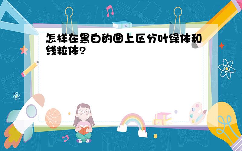 怎样在黑白的图上区分叶绿体和线粒体?