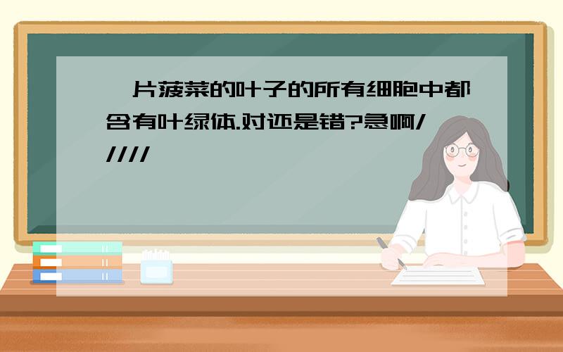 一片菠菜的叶子的所有细胞中都含有叶绿体.对还是错?急啊/////