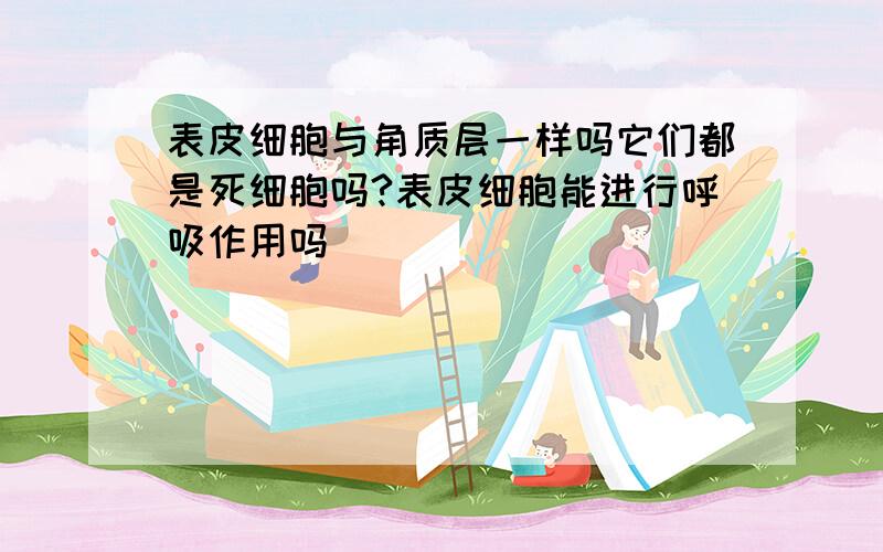 表皮细胞与角质层一样吗它们都是死细胞吗?表皮细胞能进行呼吸作用吗