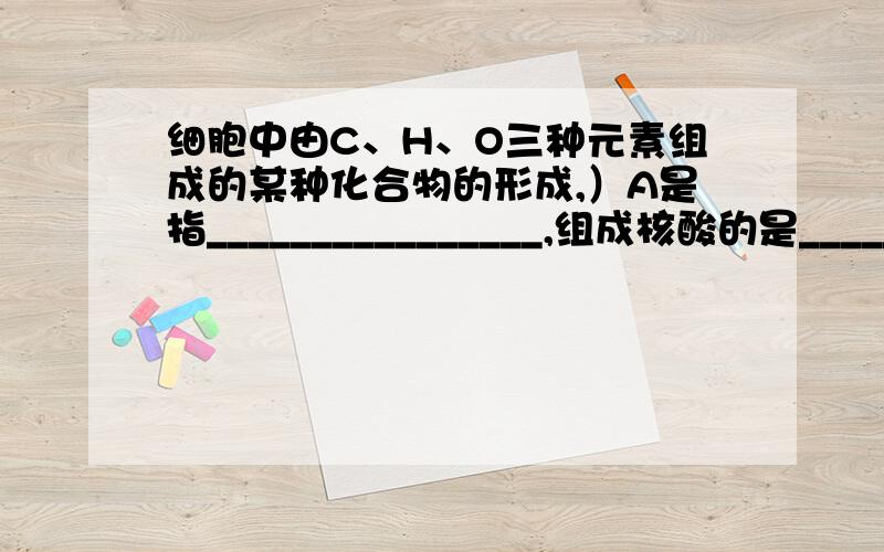 细胞中由C、H、O三种元素组成的某种化合物的形成,）A是指________________,组成核酸的是________________和________________；除了上述两种外,还有________________、________________和________________.（2）若B是由