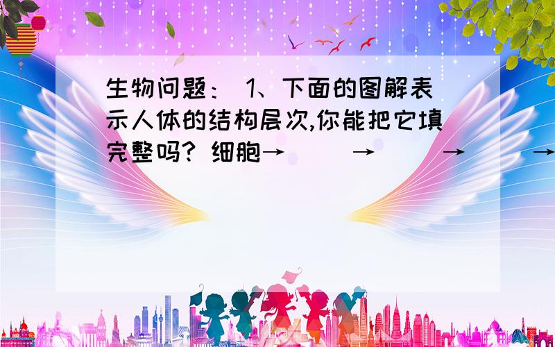 生物问题： 1、下面的图解表示人体的结构层次,你能把它填完整吗? 细胞→（ ）→（ ）→（ ）→（ ）2、某同学在教室里扫地,你认为扫地这个动作仅靠运动系统就可以完成吗?请简要说明你