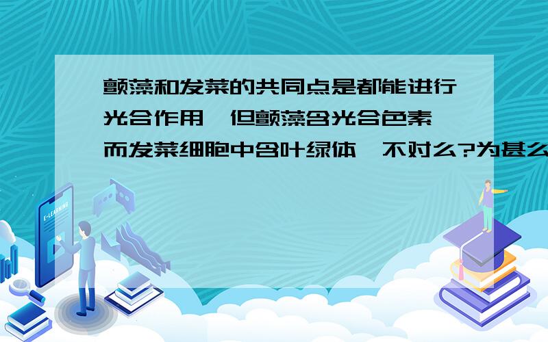 颤藻和发菜的共同点是都能进行光合作用,但颤藻含光合色素,而发菜细胞中含叶绿体,不对么?为甚么?希望能回答的详细点.