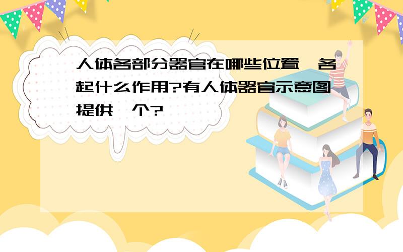 人体各部分器官在哪些位置,各起什么作用?有人体器官示意图提供一个?