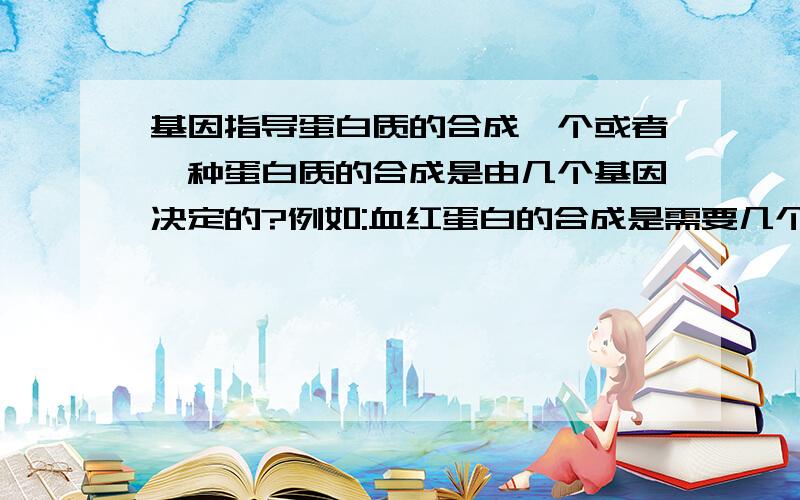 基因指导蛋白质的合成一个或者一种蛋白质的合成是由几个基因决定的?例如:血红蛋白的合成是需要几个基因?