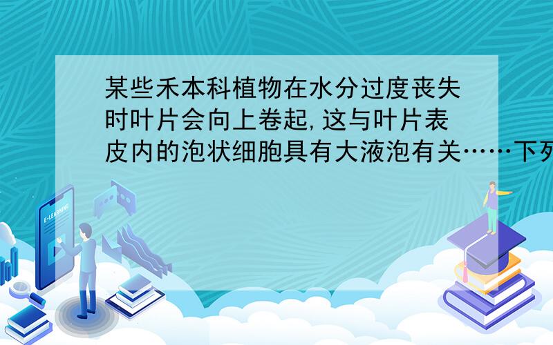 某些禾本科植物在水分过度丧失时叶片会向上卷起,这与叶片表皮内的泡状细胞具有大液泡有关……下列分析正确的是： A.这些泡状细胞只分布在上表皮 B.这些液状细胞排列成行,与叶脉垂直 C