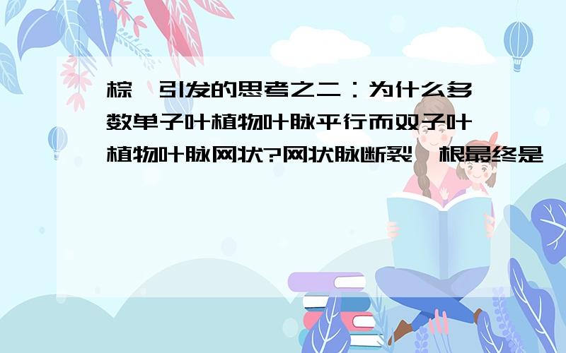 棕榈引发的思考之二：为什么多数单子叶植物叶脉平行而双子叶植物叶脉网状?网状脉断裂一根最终是一个缺刻,直脉断一根则断处尖端部分不能供水呈条状干枯.但是单子叶植物的叶脉有什么