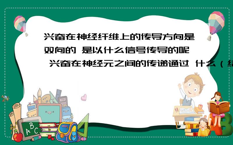 兴奋在神经纤维上的传导方向是双向的 是以什么信号传导的呢 兴奋在神经元之间的传递通过 什么（结构）这种结构有那三部分组成