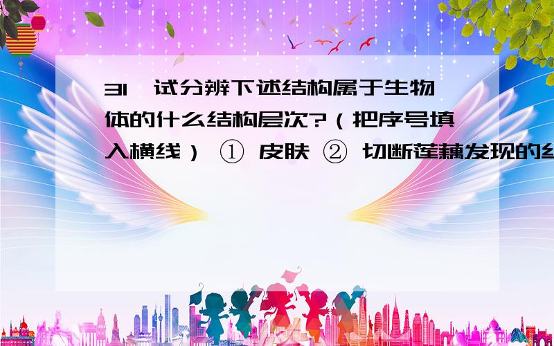 31、试分辨下述结构属于生物体的什么结构层次?（把序号填入横线） ① 皮肤 ② 切断莲藕发现的丝 ③草履虫31、试分辨下述结构属于生物体的什么结构层次?（把序号填入横线）① 皮肤 ②