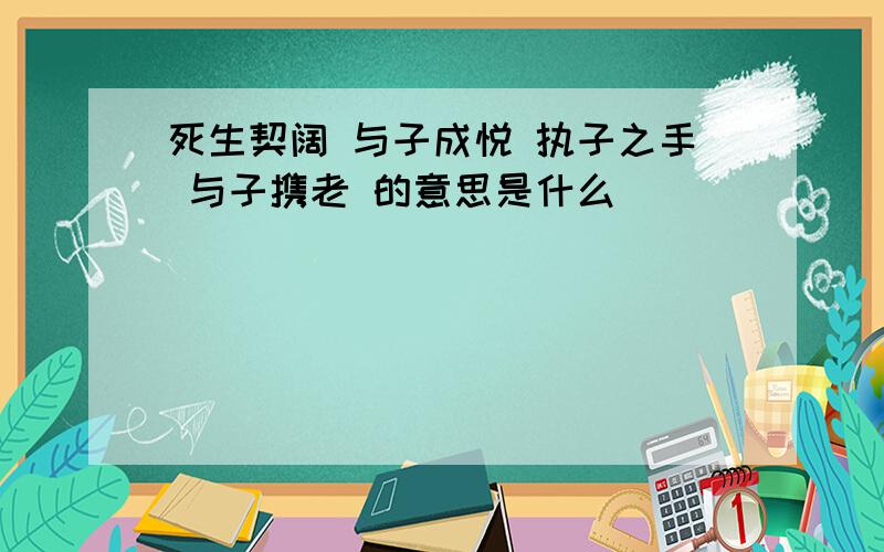 死生契阔 与子成悦 执子之手 与子携老 的意思是什么